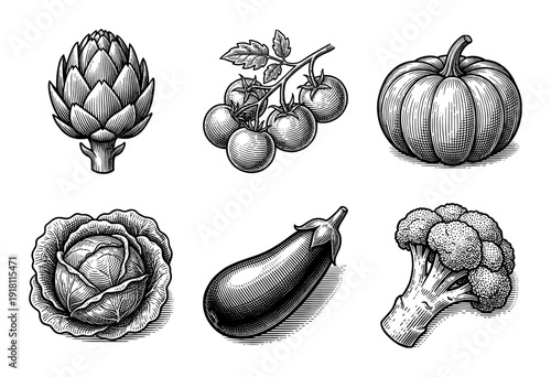 Vintage style woodcut illustration of various healthy vegetables including artichoke, tomato, pumpkin, cabbage, eggplant, and broccoli