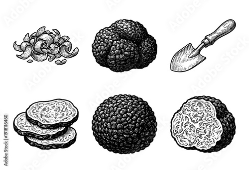 Vintage engraving style collection of black truffles featuring whole fungi, sliced pieces, shavings, and a small gardening trowel