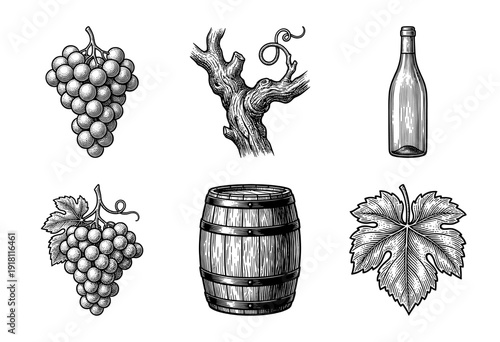 Vintage woodcut style collection of wine production elements featuring grapes, vine branch, bottle, barrel, and leaf on a plain surface.