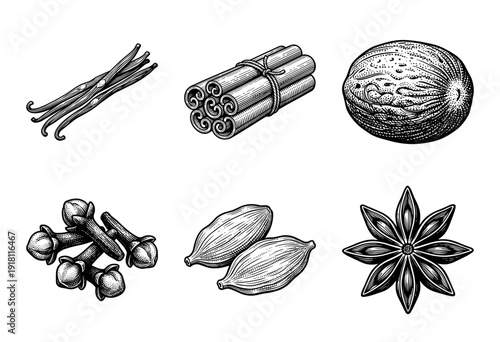 Vintage woodcut illustration of aromatic spices collection including cinnamon vanilla cloves cardamom nutmeg and star anise