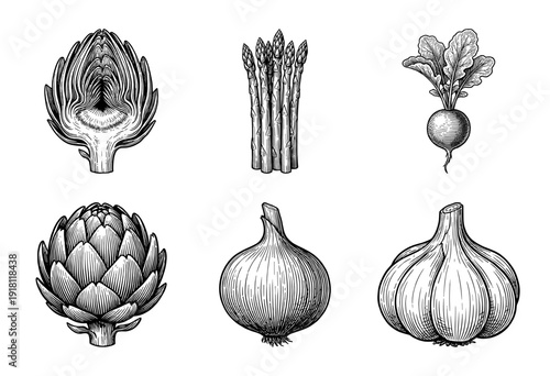 Vintage style botanical illustration of fresh vegetables including artichoke, asparagus, radish, onion, and garlic in a black and white woodcut engraving style