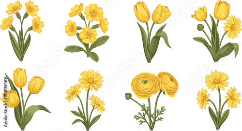 Photography Set of elegant yellow flower bouquets featuring tulips primroses and daisies in a soft hand drawn vector style for spring wedding invitations and floral decor