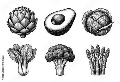 Set of hand drawn vintage style vegetable illustrations featuring artichoke avocado cabbage bok choy broccoli and asparagus