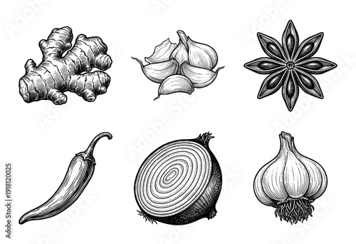Vintage style hand drawn woodcut illustration of aromatic spices and culinary vegetables including ginger garlic star anise chili pepper and onion