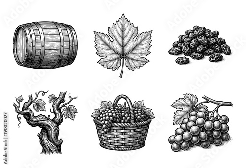 Vintage engraving style vineyard collection featuring wooden wine barrel, grape leaf, raisins, gnarly vine, basket of fruit, and fresh grape bunch.