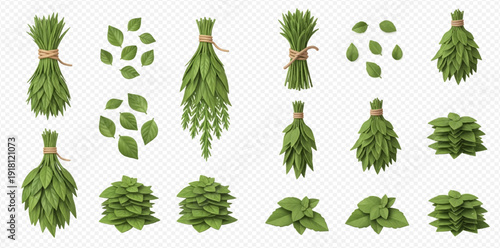 Set of various green leaves and herbs, including basil, bay leaf, and dill, presented in bundles and loose piles, on a transparent background.