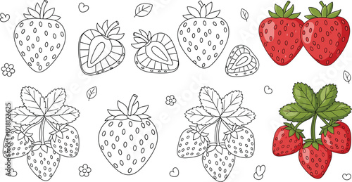 Set of cute strawberry vector illustrations featuring ripe red berries green leaves and woven baskets with black and white line art versions perfect for stickers scrapbooking children's coloring book