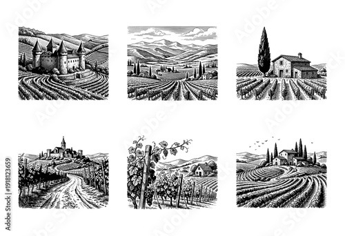 Vintage woodcut style collection of vineyard landscapes featuring rustic estates, medieval castles, rolling hills, and grapevines in a black and white engraved aesthetic.