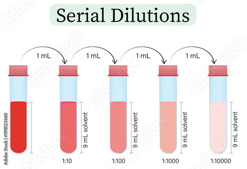 Serial Dilution Diagram Showing Stepwise Laboratory Dilution Process in Test Tubes Vector Illustration