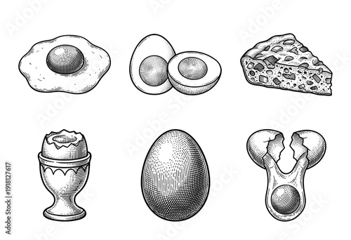Vintage woodcut style illustration set of eggs prepared in various ways including fried boiled and quiche