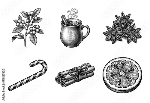 Vintage engraving style collection of winter beverage ingredients and holiday spices including cinnamon anise and citrus