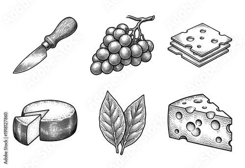 Vintage engraving style collection of cheese varieties, bunch of grapes, aromatic bay leaves, and a rustic wooden handled cheese knife.