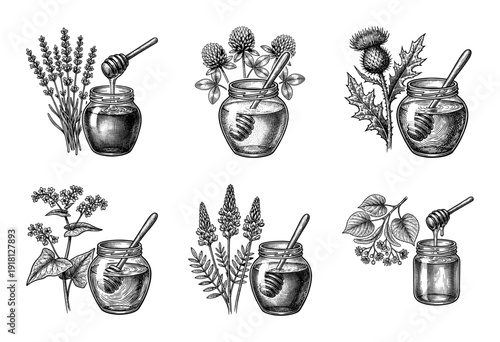 Vintage engraving style collection of honey jars with dippers and various medicinal flowering plants including lavender clover and thistle