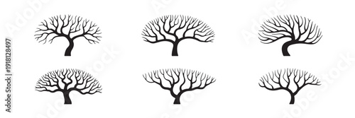 Set of six silhouette of decorative trees black color with round shape crown on transparent background vector illustration