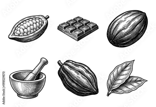 Vintage engraving collection of cocoa beans, chocolate bar, pods, mortar and pestle, and leaves in woodcut style.