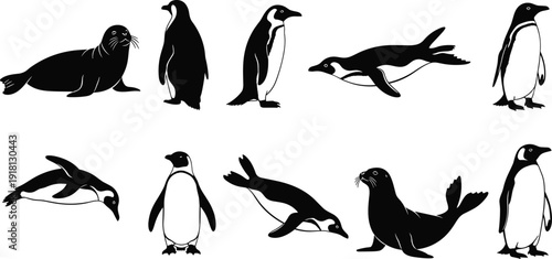 Black and white vector silhouette set of diverse arctic animals featuring various penguins standing or swimming and seals for polar nature and wildlife branding
