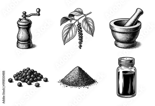 Vintage engraving of black pepper plant, peppercorns, wooden grinder, mortar and pestle, ground powder, and seasoning jar set.