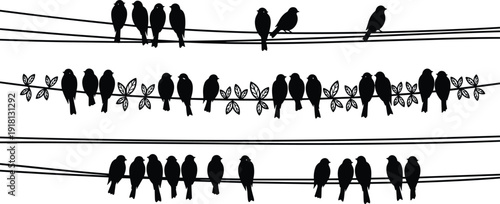 Vector Illustration Set of Bird Silhouettes Perched on Electric Wires and Leafy Vines for Nature Wildlife Outdoor Environment and Minimalist Animal Designs
