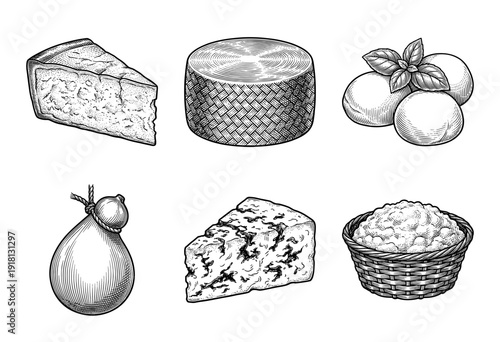 Collection of traditional cheese varieties in hand drawn vintage engraving style featuring mozzarella provolone parmesan and ricotta