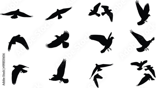 Vector Illustration Set of Black Bird Silhouettes Flying in Different Poses for Peace Nature Wildlife Migration and Freedom Concept Graphic Design Projects