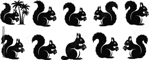 Black vector silhouette set of diverse squirrels holding nuts featuring various poses and palm tree icons for forest wildlife nature conservation and park branding