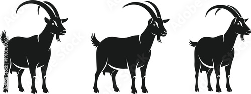 Black vector silhouette set of three adult mountain goats with large curved horns standing in profile for farm livestock and nature wildlife branding