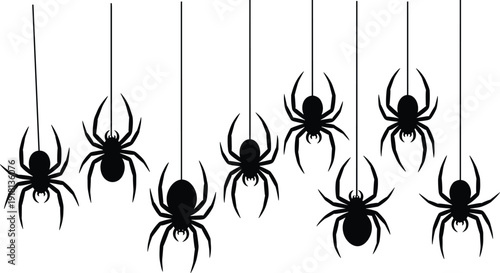 Black vector silhouette set of ten creepy spiders hanging from thin web threads for Halloween party decoration spooky insect theme and horror branding