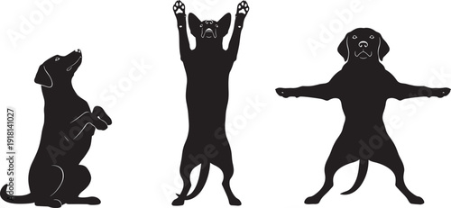 Black silhouette collection of a loyal dog in various playful poses including begging jumping and standing isolated on white background for pet training concepts