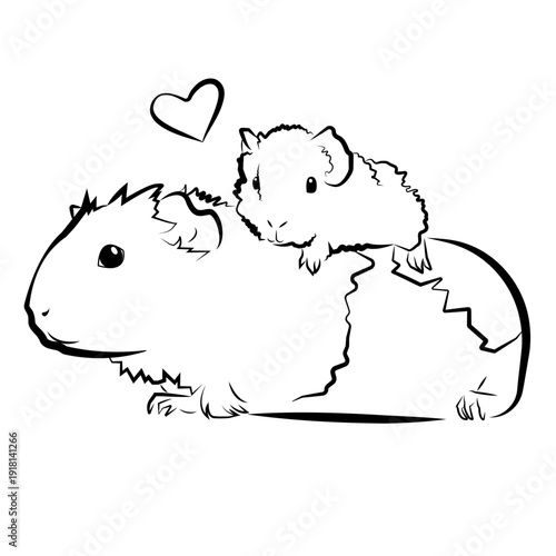 Mother and Baby Guinea Pig Coloring Page Linear Illustration