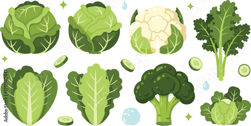 Fresh Green Cabbage, Cauliflower, Broccoli, and Kale Set Organic Healthy Leafy Vegetables for Cooking Vector Collection.