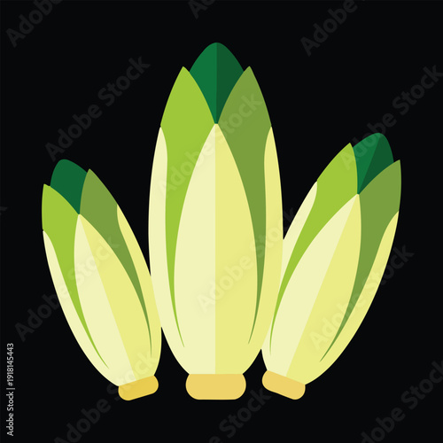 Three fresh endives with green tips and pale yellow leaves vegetable flat design vector