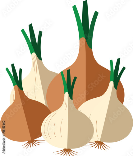 Yellow and white onions group with green sprouts and small roots isolated vector illustration