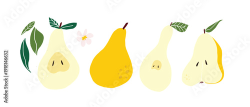 Modern flat illustration set of whole and sliced pears with leaves and small flowers. Clean fruit artwork ideal for menus, packaging, grocery branding and healthy food concepts.