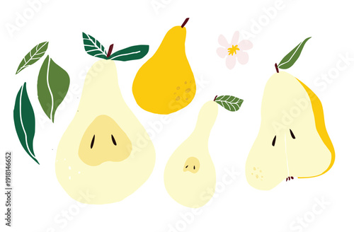 Flat vector illustration of pears with leaves and blossoms in soft minimal style. Fresh fruit composition suitable for food packaging, kitchen decor, branding and seasonal harvest designs.