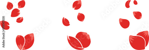 Falling red rose petals in a gentle cascade against a clean white background