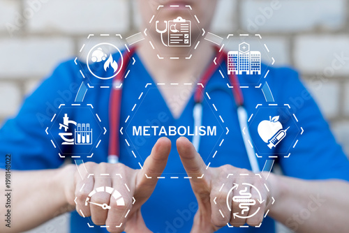 Concept of metabolism. Symbiosis Medical Human Comprehensibility Metabolic Syndrome.