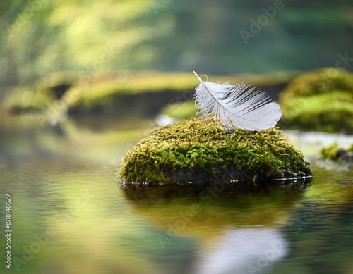 feather on water mossy stone hazy