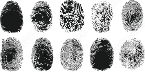 Black and white fingerprint set on isolated white background, vector illustration, high resolution photography, insanely detailed, fine details 
