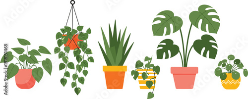 Indoor houseplants illustration set, potted tropical plants, modern home decor, flat vector style, flavector