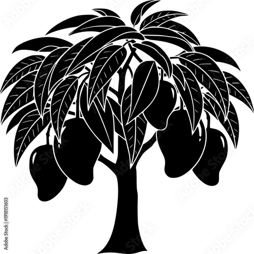 Black silhouette shows a leafy mango tree bearing ripe fruit on fertile land

