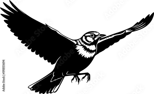 skylark silhouette line art vector illustration with a white background
