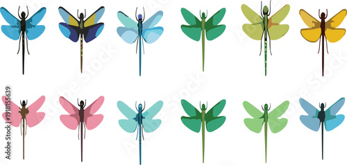 Colorful dragonfly collection flying insect cartoon vector illustration set isolated on white background design