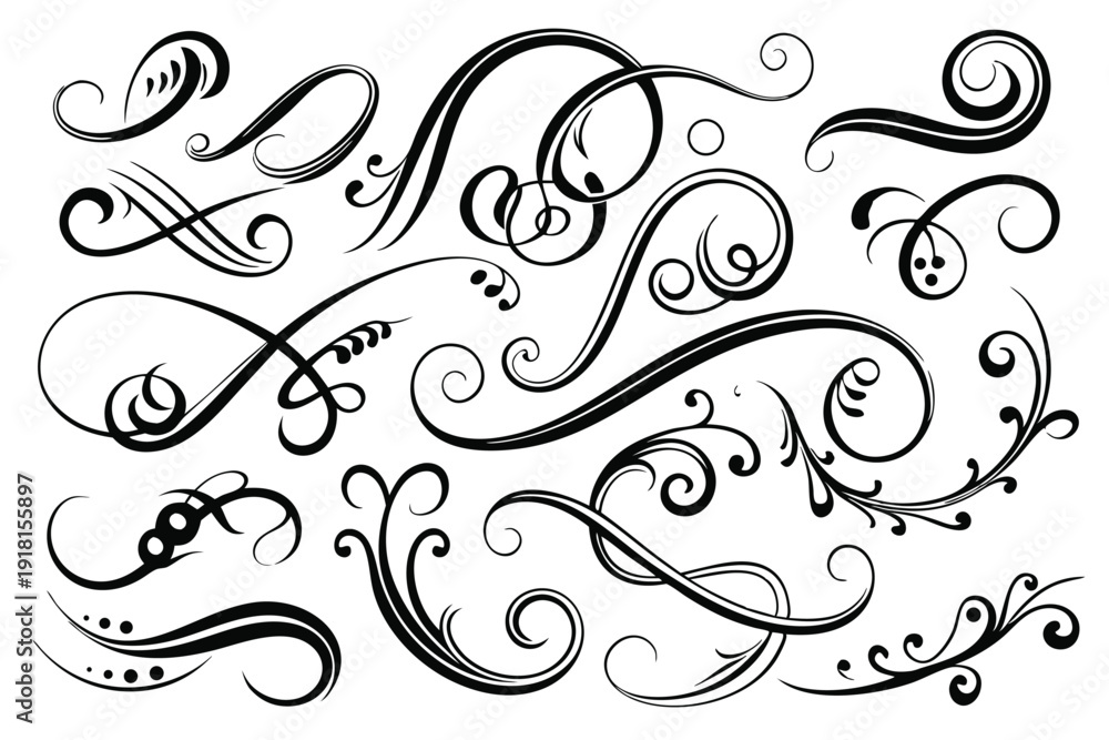 Fototapeta premium set calligraphic swirls line art silhouette vector illustration