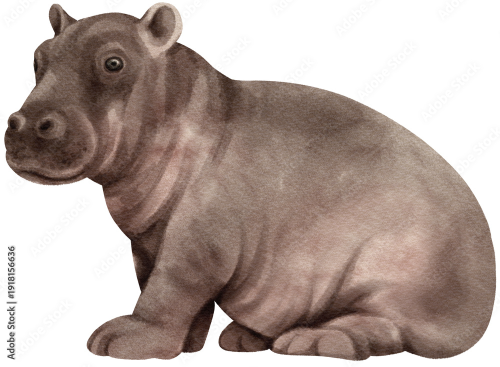 Obraz premium Hippopotamus watercolor