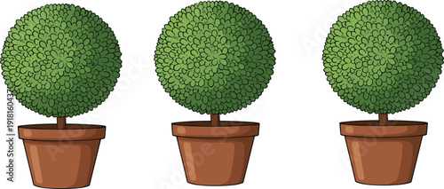 Green Topiary Tree in Flower Pot Cartoon Garden Plant Vector Illustration Set Isolated on White