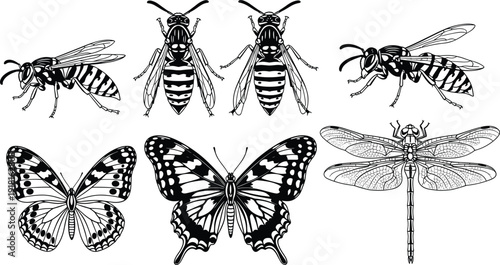 Flying insects silhouette illustration set featuring wasps, butterflies, and dragonfly, representing entomology diversity, nature wildlife, pollination, and detailed insect anatomy concept
