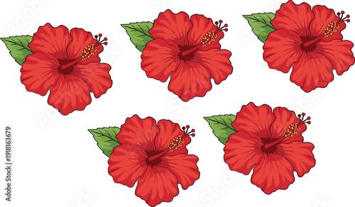 Red Hibiscus Flower with Green Leaves Tropical Floral Cartoon Vector Illustration Set Isolated on White Background