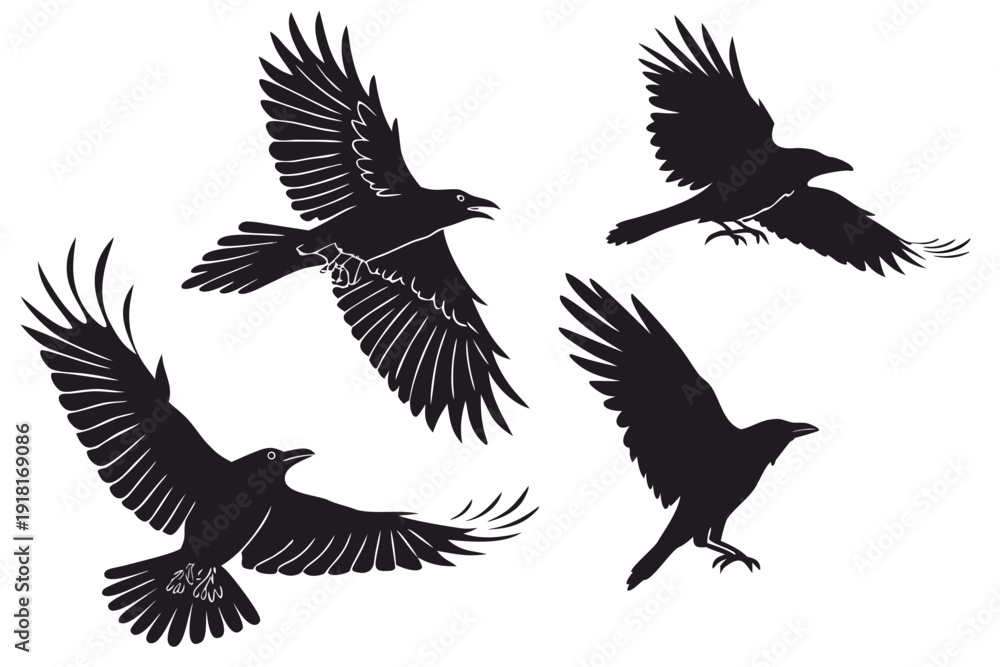 Fototapeta premium A set of four black birds in flight on a white background