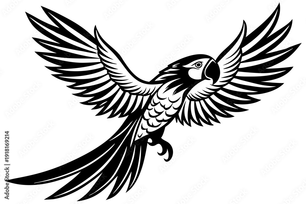 Fototapeta premium A black and white vector illustration of a parrot in flight with its wings spread wide