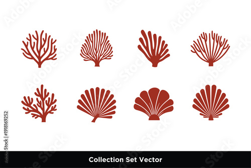 Ocean Seashell and Coral Reef Vector Collection
